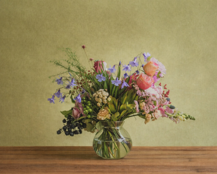 Botanical ingredients